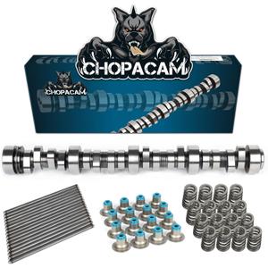 Stage 2 Cam Kit with .560 Lift Beehive Springs Seals Pushrods for LS Truck Camshaft for 4.8 5.3 6.0 6.2 Vortec 1999-2013