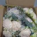 MARTINE MALL 8 Packs Peonies Artificial Flowers, Champagne Artificial Peonies, Silk Peonies Flowers Fake Peonies Artificial Flowers Peonies Bouquet for Centerpiece Table Wedding Party Home Decor