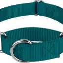 Country Brook Petz Martingale Dog Collar - Heavy-Duty Training Collar with No Buckle - Service Dog Collar for All Pups - Vibrant, Colorful Collection (Teal, 1 Inch, Medium)