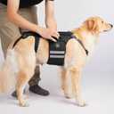 Coodeo Dog Back Brace for Dogs Arthritis, Pet Back Bracer for IVDD, Back Protector Helps Pain Relief, Surgical Recovery and Rehabilitation, Dogs Back Disease Prevention. (Black,Small)
