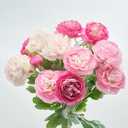 Artificial Peony Flowers Ranunculus Fake Flowers 6pcs Summer Flowers Peonies Bouquet for Home Decoration Silk Flowers Peony Arrangements (Pink)