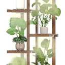 Solatmos Wood Plant Stand With Grow Lights Indoor Plants Outdoor Corner Plant Shelf Flower Stands for Living Room Patio Garden Corner Balcony (Brown, 8 Tier)