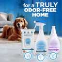 POOPH Pet Odor Eliminator Spray 16oz Fragrance Free Odor Remover for Dogs and Cats Urine Poop Pee Deodorizer for Carpet Furniture and Litter Box, 16 oz