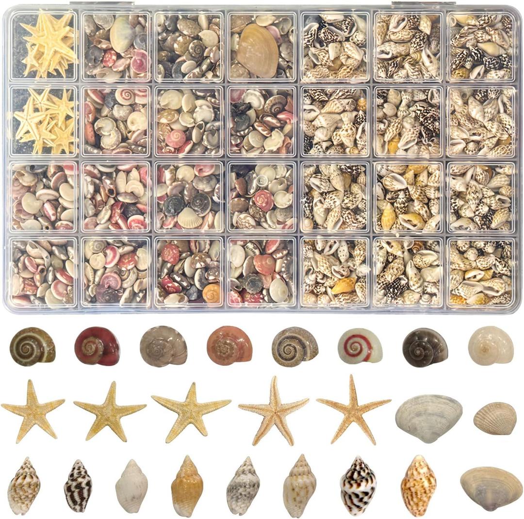 25 Types Small Sea Shells for Crafts, 1800 Pcs Tiny Seashells with Mixed Size Starfish for Crafting Spiral Conch Shells for Crafts Charms for Home Decorations Candle Decor DIY and Beach Vase Filler