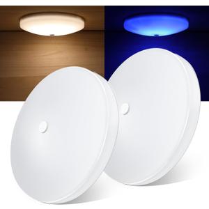 2 Pack RV Interior Ceiling Dome Light 4.5 Inch, Press Dimmer Switch & Blue Nightlight,12V Dimmable Puck Light for Motorhome Trailer Fifth Wheel Truck Coach Enclosed Trailer(4000K)