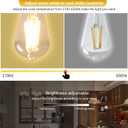 Smart LED Light Bulbs,Remote Control Light Bulb,ST64 Vintage Edison Bulbs with Remote Control,800LM 6W (60W Equivalent),E26 Base,Dimmable 2700K-6500K, 2-Pack(2 Bulbs+1 Remote)