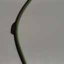 3 wipers Replacement for 2007-2011 Honda CRV CR-V/2007-2018 Acura RDX/2018-2020 nissan leaf, Windshield Wiper Blades Original Equipment Replacement - 26"/16"/14" (Set of 3) U/J HOOK