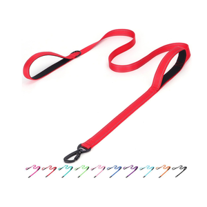 Pimaodog Martingale Dog Collar with Stainless Steel Chain (S, Light Blue) and Bbmmayy Reflective Nylon Dog Leash - The Heavy Duty Hero Leash (Red, 5FT×1'')