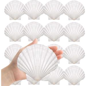 Large Natural Sea Shells 4''-5'' White Scallop Shells 8PCS for DIY Craft Making, Baking, Hand Painting, Ocean Themed Party and Home Decor