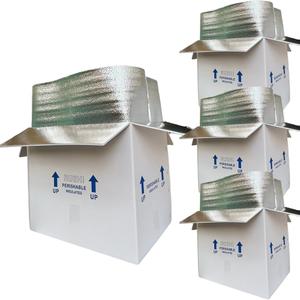 19x12x16'' Insulated Shipping Boxes with Bag Liners, Styrofoam Cold Mailer, Foam Cooler Containers, for Mailing Packaging Frozen Food, Perishable Fruit, and More (4 Pack)