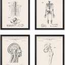 Poster Master 4-Piece Anatomy Blueprint Poster - Skeleton Patent Print - Anatomical Head Art - Educational Design - Science Design - Technical Drawing - Library or Clinic Decor - 8x10 UNFRAMED