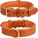 Leather Dog Collar for Medium Dogs, Orange, 1 Inch Wide, Genuine Leather, Heavy Duty with Soft Inner Padding, Comfortable and Durable (Medium (Fit Neck Size 14.5"-18.5"), Tangerine Orange)