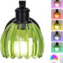 VerRon Rechargeable Battery Operated Wall Sconce with Green Glass Lampshade, Wireless Wall Scone Decor with Remote Control, 15 Colors Black Wall Light for Bedside Hallway Bedroom Doorway