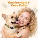 2 x Kazazoo Dog Collar Cute and Soft Nylon Puppy Collar for Boy and Girl, Adjustable Dog Collars for Small Medium Dogs, Yellow&Blue Plaid-S