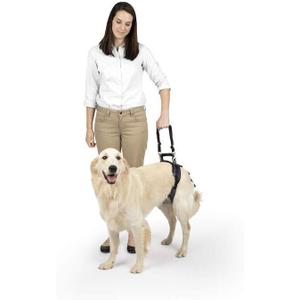 PetSafe CareLift Rear Support Harness - Lifting Aid with Handle and Shoulder Strap - Fits Waist Measuring 27-37 inches, Dog Weight 70lb-130lb, Large, Black