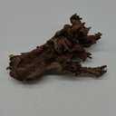 Majoywoo Natural Large Driftwood for Aquarium Decor Reptile Decor 13-17" Long, Over 1.3 lbs