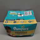 Pampers Swaddlers Diapers, Size 0 (up to 10 lbs), 84 Count, Absorbent, Keeps Baby Dry and Comfortable, Skin Safe Disposable Baby Diaper