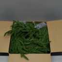 2 Pcs Christmas Garland with Lights 6 Ft, Real Touch Norfolk Pine Garland for Mantle, Christmas Decorations Indoor Outdoor for Wall Fireplace, Faux Greenery Cedar Garland Realistic for Table Decor