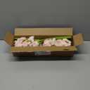 Alupssuc 30Pcs Ranunculus Artificial Flowers Faux Silk Mini Ranunculus, Spring Flowers Artificial Indoor for DIY Bouquets, Bulk Fake Wedding Filler Flowers for Bride Shower Decorations, Shabby Blush