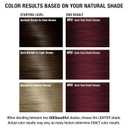 AGE beautiful Permanent Hair Color Dye Liqui Creme | 100% Gray Coverage | Anti-Aging Haircolor | Biotin for Thicker, Fuller, Healthier Hair | Professional Salon Coloring