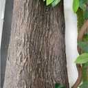BOALORD Artificial Tree Bark - Natural Garden Mulch & Landscape Decor(19.69x39.37in/0.5 * 1m)