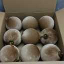 9 PCS Velvet Christmas Balls Ornaments 4inch& 6inch Christmas Large Ball Set for Xmas Tree Decor, Holiday Home Party (Brown, 6inch)