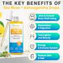 Sea Moss & Ashwagandha Root Drops - 10X Stronger Seamoss & Ashwagandha for Women & Men, Sea Moss Drops for Mood, Immunity, Digestive, Energy, Skin, Hair JointLemon Flavour - 80 Servings