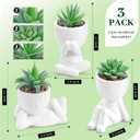 Der Rose 3pcs Fake Succulents Plants Artificial for Bathroom Bedroom Home Room Decor Aesthetic Indoor