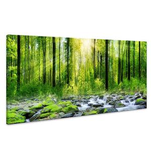 Tucai Decor Canvas Art Decor Morning Sunrise Green Trees Landscape Sunshine Over Forest Photograph Printed on Canvas for Home Wall Decoration Wall Art for living Room Print Artwork Natural Picture 24"x48"