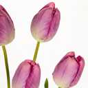 6PCS 23" Fake Tulip Flowers Artificial Violet Tulips Long Stem Faux Flower, Silk Flower Dcor for Floral Arrangement Home Farmhouse Wedding Decoration