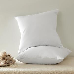 Bedding Throw Pillows Insert (Pack of 2, White) - 16 x 16 Inches Bed and Couch Pillows - Indoor Decorative Pillow