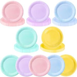 Zhehao 100 Pcs Pastel Disposable Paper Plates 9 Inch Rainbow color Disposable Plates Pastel Rainbow Party Decoration for Birthday Picnic Spring Wedding Baby Shower