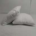 EDOW Throw Pillow Inserts, Set of 2 Lightweight Down Alternative Polyester Pillow, Couch Cushion, Sham Stuffer, Machine Washable. (White, 16x16)