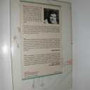 Secret World of Drawings: Healing Through Art