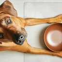 Clear Pet Bowl Mat, USA Made, Safe, Waterproof, 14 x 21 Inch, 2mm Thick Smooth Vinyl, Cat & Dog Cage Floor Mat