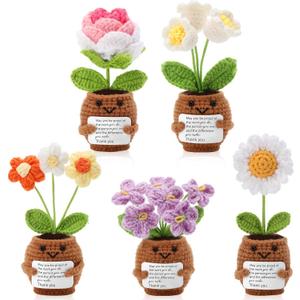 Geelin 6 Sets Positive Employee Appreciation Mini Crochet Flower Potted Doll with Card Emotional Rose Daisy Crochet Support Thank You Plants May You Positive Gift for Women Coworker Employee Teacher