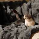 Ultra Soft Cozy Faux Fur Throw Blanket-Fuzzy Plush Thick Bubble Blanket, Fluffy Blanket for Couch, Sofa, Bedroom, and Living Room, 50x60 Inches, Dark Grey Taupe