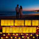 Will You Be My Girlfriend Decorations Valentines Day Surprise Set with Light Up Letters, 30 Tea Light Candles, 2000 Rose Petals, 10 Balloons Luminary Bags for Romantic Setup