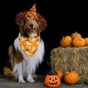 Halloween Dog Bandanas - 2 Pack Fall Dog Bibs | Reversible Pumpkin and Ghost Pet Scarf for Boys and Girls | Premium Durable Fabric | Boo Dog Bandana for Large and Extra Large Dogs (X-Large)