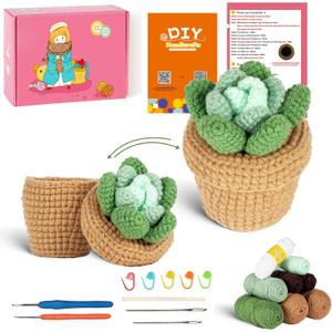 Finnacy Crochet Kit for Beginners Adults,Potted Succulent Plant Crochet Storage Box, All You Need in, Include Crochet Yarns, Hook, Step-by-Step Video, Instruction and Crochet Accessories
