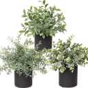 3 Pack Small Fake Plants for Shelf Decor Accents with Ceramic Pot Artificial Potted Plants for Rustic Farmhouse Decor Faux Plants Indoor Fake Potted Plants Artificial for Home Office Bookshelf Decor