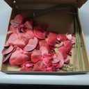 PATIKIL Artificial Orchid Stems 41", 3 Pack 9 Heads Faux Phalaenopsis Flowers Real Touch Fake Orchid Flower Branch for Vase Home Wedding Decoration, Burgundy