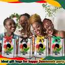 Sweetude 20 Pcs Happy Juneteenth Gift Bags with Die Cut Handles Clear Plastic Juneteenth Party Gift Bag with Ribbon for June 19th African American Independence Day Party Favor, 7 x 10 x 3.15 Inch (Stylish Color)
