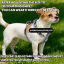 Roses&Poetry Dog Harness Small Sized Dog, 6 Point Adjustable Fit No Pull Harness with Handle for Control and Easy Walking, Reflective Pet Halter Harnesses（Blackwhite-S）