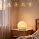 ecozy Sunrise Alarm Clock for Bedroom, White Noise Sound Machine, 26 Soothing Sounds, 17 Night Lights, Bluetooth Speaker, Music-Sync Lights, Wake Up Sunlight for Heavy Sleepers, Adults, Kids - Natural
