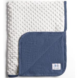 lulumoon Baby Blankets for Boys Newborn: Reversible Muslin & Minky Dotted Backing - Thermal Receiving Blanket for Stroller & Registry Gift 30"x40"(Blue)