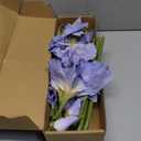 IPOPU Artificial Flowers,5PCS Blue Iris Flowers Artificial 31.1" Spring Flowers Fake Silk Flowers with Stems for Wedding Office Home Decor Indoor Decor(Blue)
