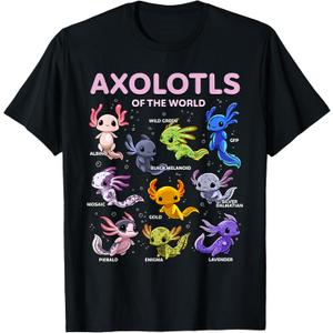 Axolotl Kawaii Axolotls of The World Axolotl Animals T-Shirt, Black, Small