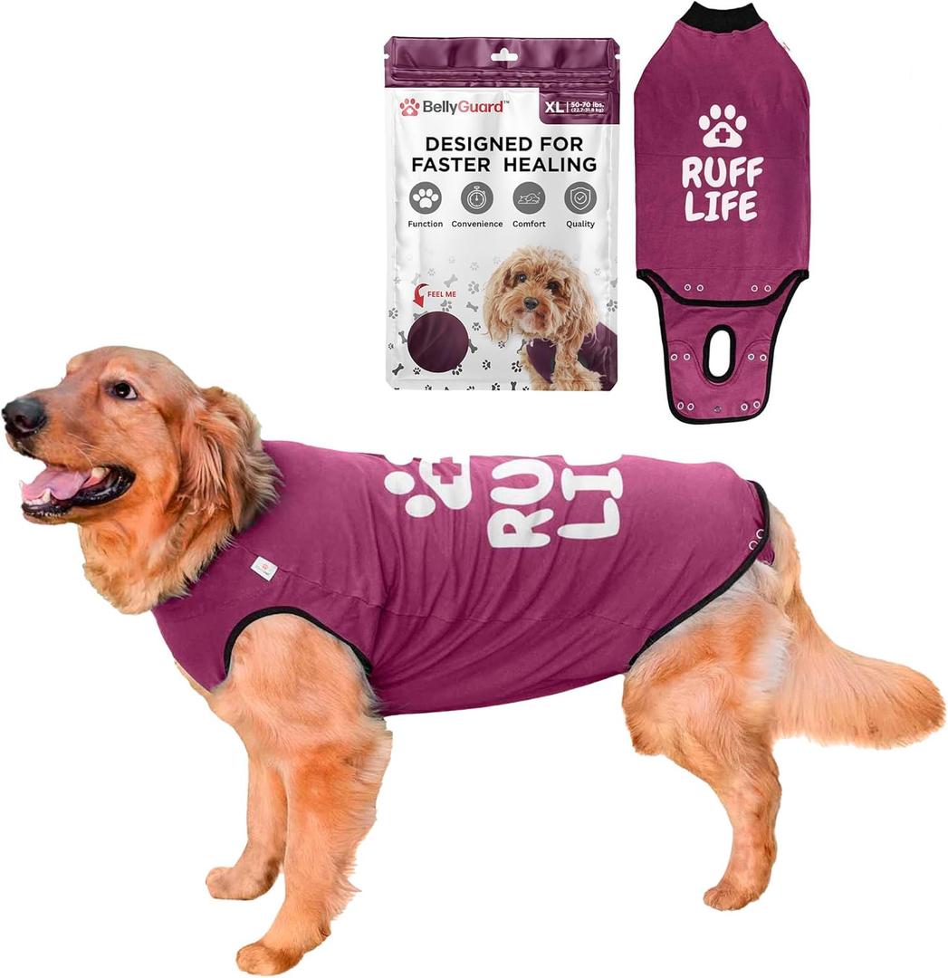 BellyGuard Recovery Suit for Dogs, Comfy Dog Surgery Suit, Female Spay and Male Neuter Onesie for Post-Op Care (X-Large, Maroon)