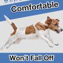 Dono Disposable Male Dog Diapers, Super Absorbent Male Dog Wraps for Small to Large Dogs, 360 Leak-Proof with Wetness Indicator,S,48PCS